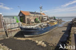 Yerseke fisheryharbour