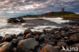 Dunstanburgh Castle