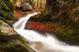 La Vallon du Ninglispo