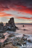 Mono Lake