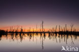 National Park De Alde Feanen