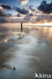 Nationaal Park Duinen van Texel 