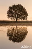 Nationaal park Dwingelderveld