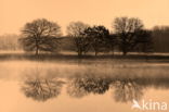 Nationaal park Dwingelderveld