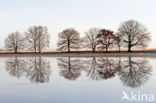 Nationaal park Dwingelderveld