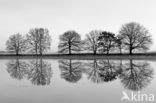 Nationaal park Dwingelderveld