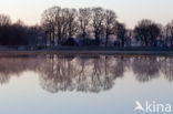 Nationaal park Dwingelderveld