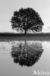 Nationaal park Dwingelderveld