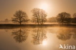 Nationaal park Dwingelderveld