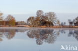 Nationaal park Dwingelderveld