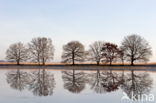 Nationaal park Dwingelderveld