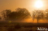 Nationaal park Dwingelderveld