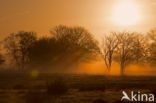 Nationaal park Dwingelderveld