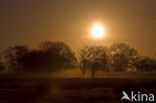 Nationaal park Dwingelderveld