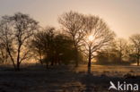 Nationaal park Dwingelderveld