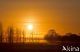 National Park Dwingelderveld