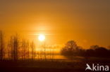 Nationaal park Dwingelderveld