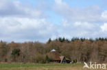 Nationaal park Dwingelderveld