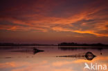 Nationaal Park Lauwersmeer