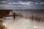 Nationaal Park Lauwersmeer