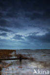 Nationaal Park Lauwersmeer