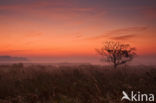 National Park Lauwersmeer