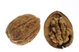 Okkernoot (Juglans regia)