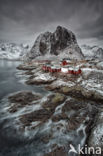 Reine