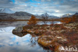 Rondane National Park