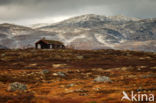 Rondane National Park