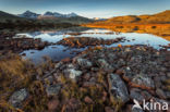 Rondane National Park