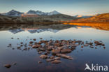 Rondane National Park