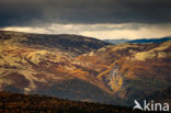 Rondane National Park