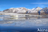 Skaftafell Nationaal Park