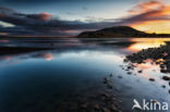 Stokksnes