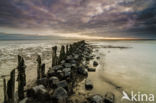 Wadden Sea