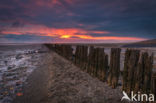 Wadden Sea