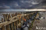 Wadden Sea