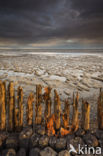 Wadden Sea