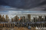 Waddenzee