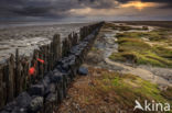 Waddenzee