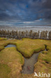 Waddenzee