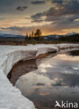 Yellowstone national park