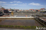 Yerseke fisheryharbour