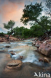 Zion National Park