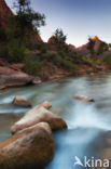 Zion National Park