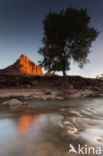 Zion National Park