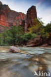 Zion National Park