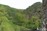 Burg Eltz