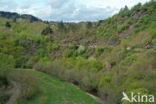 Burg Eltz